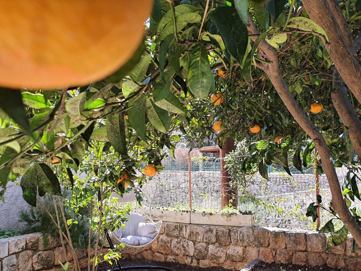 Barbara'S Garden Apartment Дубровник Екстер'єр фото